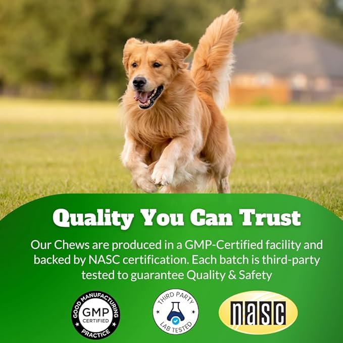 Dog Joint Supplement Chews with Glucosamine & MSM & Omega 3–Joint Support for Senior & Large Breed Dogs, Alternative for Longevity & Healthy Aging, Mobility Treatment & Flexibility with CoQ10-120 Ct