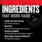 Animal Stak – Complete Natural Hormone Booster Supplement with Tribulus – Natural Testosterone Booster for Athletes – Contains Estrogen Blockers – 1 Month Cycle