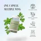 REFRESH – Internal Deodorant Supplement for Odor Control, Skin Health & Confidence Boost