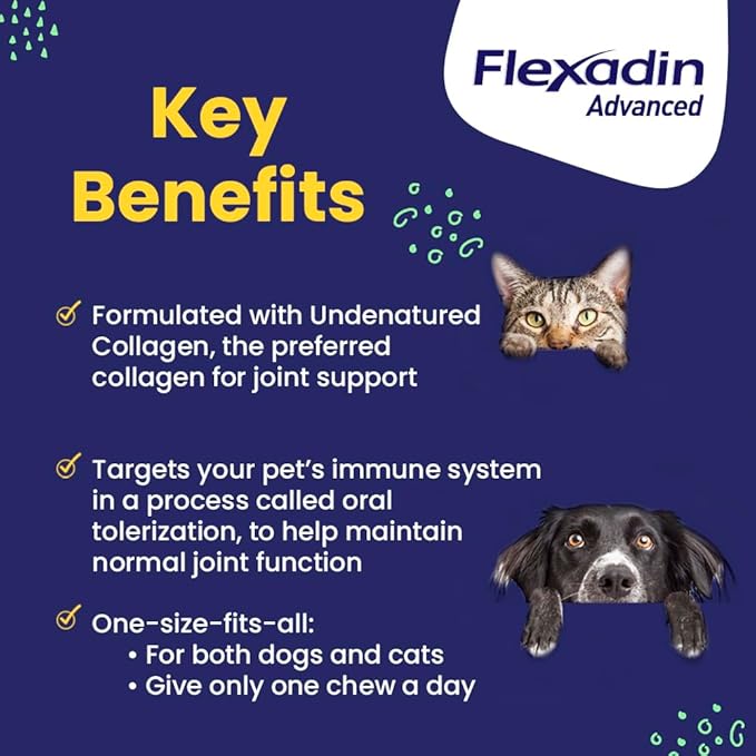 Vetoquinol Flexadin Advanced Hip and Joint Supplement with Undenatured Collagen for Dogs, One Chew a Day Hip and Joint Support Chew for Dogs and Cats, Clinically Proven Vet-Approved Formula, 60 Chews