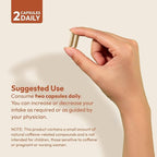 ANDREW LESSMAN Energy and Fat Metabolism Factors 180 Capsules - Promotes Optimum Fat Burning and Energy Metabolism, with Carnitine, Green Tea, Guarana, Ginseng, B-Complex. Easy to Swallow Capsules