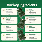 Gruns Adults Super Greens Gummies, Multivitamin Superfood Gummy Bears, Spirulina, Chlorella, Prebiotics & Fiber Gummies for Digestive Health, Adaptogens Supplement, 20 Vitamins & Minerals, 10 Count