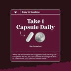 Advanced Kidney Support Supplement - Kidney Cleanse Detox & Repair Cranberry Extract Capsules with Uva Ursi, Stinging Nettle & Astragalus for Kidney Health - Urinary Tract Health - 240 Count