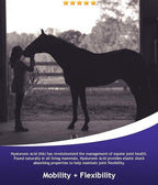 Hyalogic Hyalun Pro 30 - Hyaluronic Acid Joint Support Supplement for Horses – Horse Care Solution with Easy-to-Use Oral Dispenser – Supports Healthy Joints & Cartilage - 30-Day Supply (3oz / 90ml)