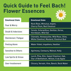 Feel Bach! FeelFive Remedy - Natural Homeopathic Flower Essences for Fast Emergency Support, Relief of Fear, Worry and New Adoption, Vegan, Gluten & Sugar-Free, Non-Habit Forming, 20ml (0.7 fl oz)
