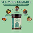 Sea Moss Gummies 16-in-1, with Black Seed Oil, Ashwagandha & Elderberry | Organic Irish Sea Moss Supplement for Men & Women | Daily Support with Manuka, Burdock Root & Vitamins C & D3, 30 Gummies