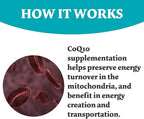 60 Counts CoQ10 Gummies 300mg High Absorption - Raspberry Flavored - Non-GMO - Gluten-Free - Coenzyme Q10 Gummy