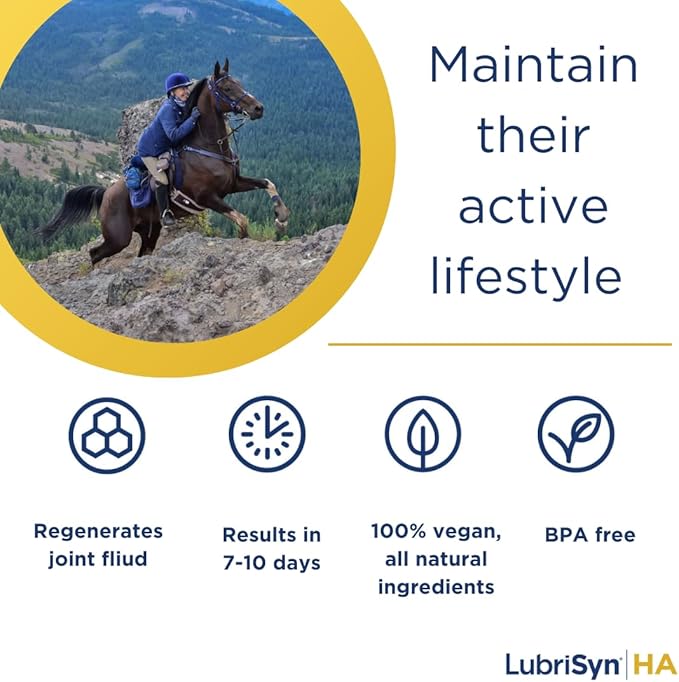 LubriSynHA Hyaluronic Acid with MSM Hip & Joint Care Supplement for Dogs, Cats & Horses – Liquid Oral HA for Pets – Joint Support Promotes Mobility, Flexibility, Cartilage Health & Comfort – 64oz