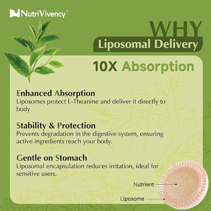 Liposomal L-Theanine Gummies, Sugar Free L Theanine 400mg Gummies Supplement for Adults & Kids, l'theanine Chewable for Relax & Improved Focus, Enhanced Absorption, Vegan, Green Apple Flavor, 60 Count