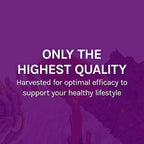 Host Defense MyCommunity Capsules - 17 Species Blend Mushroom Supplement for Immune Support - Herbal Aid with Lion's Mane, Reishi, Chaga, Cordyceps, Turkey Tail & More - 30 Capsules (15 Servings)*
