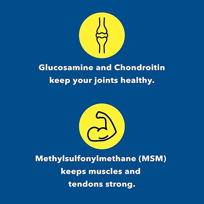 Glucosamine Chondroitin MSM Supplement for Joint & Bone Health - 120 Capsules | Joint Support & Discomfort Relief for Back, Knees, Hands