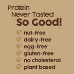 No Nuts! Chocolate Chip Protein Bars 100% Nut-Free & School-Safe | 12g Plant Protein, Vegan, Gluten-Free, Non-GMO, Organic, Kosher | 12 Count