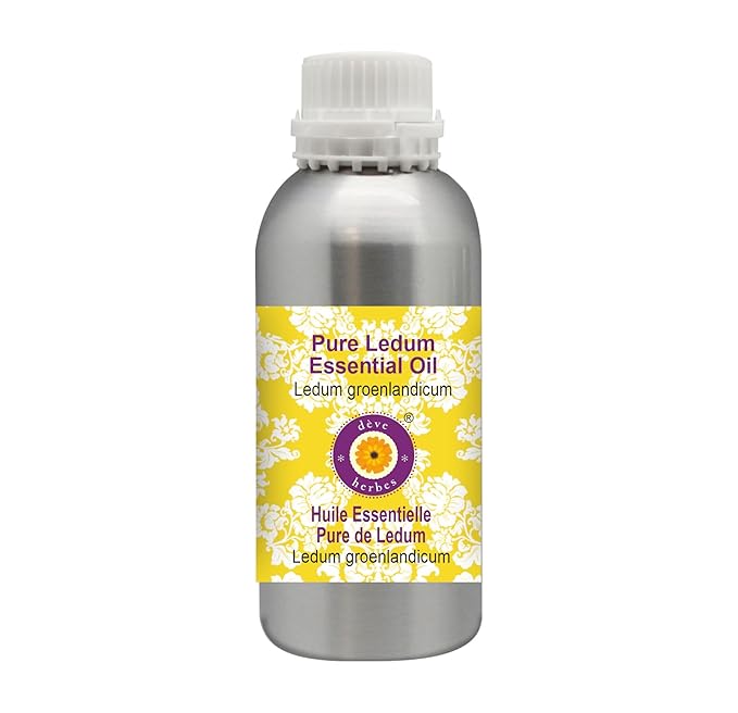 Deve Herbes Pure Ledum Essential Oil (Ledum groenlandicum) Natural Therapeutic Grade Steam Distilled 630ml (21 oz)