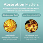 Pharma Nord - The Original CoQ10 • Clinically Proven • High Absorption • Heart Health • Fertility • Healthy Aging • Cellular Energy • Antioxidant • Gluten-Free • 100 mg Coenzyme Q10 • 60 Softgels