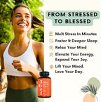 NutriRise Organic Ashwagandha Root Capsules with Black Pepper 1950mg, Natural Stress & Mood, Thyroid & Immune Support Supplement, Sleep Aid, Clarity, Focus & Energy, Gluten Free, 180 Count