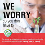 SOLARAY Acetyl L-Carnitine 500 mg | Healthy Cellular Energy, Memory, Mood, and Cardiovascular Support | 30 VegCaps