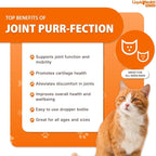 LIQUIDHEALTH Pets Liquid Cat Glucosamine Joint Purr-Fection - Hip & Joint Health Relief Support, Chondroitin Feline Droppers for Senior Older Adult Cats & Kittens - Made in the USA (3 Pack)