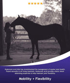 Hyalogic Hyaluronic Acid for Horses 90 Day Supply Easy Oral Tip Dispenser - Liquid HA Supplement for Equine Joints and Cartilage Support - Hyalun Pro - 9 oz / 296 ml