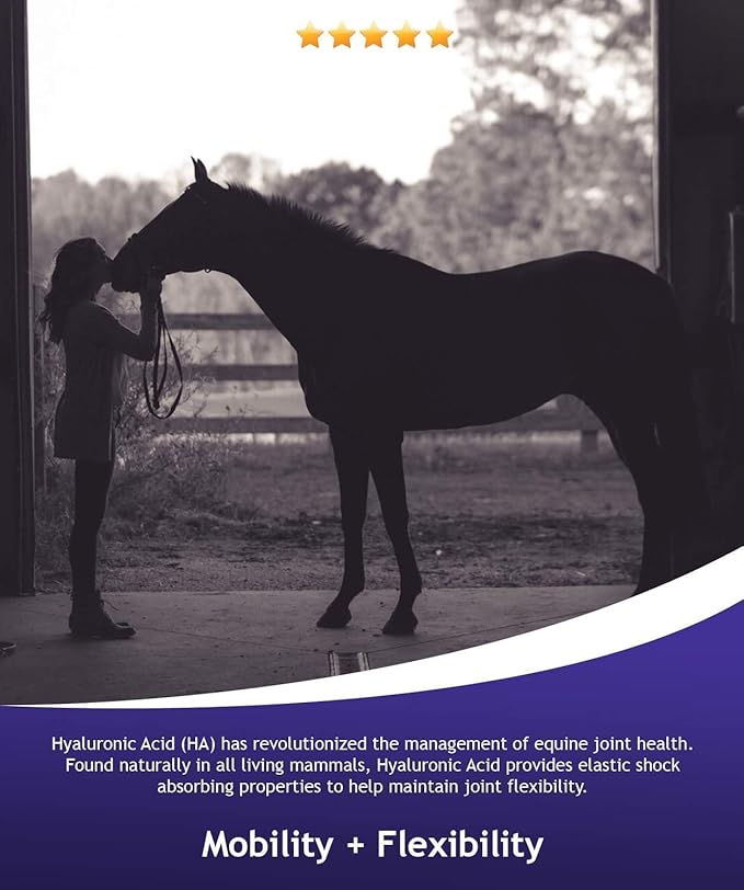 Hyalogic Hyaluronic Acid for Horses 90 Day Supply Easy Oral Tip Dispenser - Liquid HA Supplement for Equine Joints and Cartilage Support - Hyalun Pro - 9 oz / 296 ml