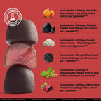 Coach Soak Shilajit Gummies 6-in-1: Tasty Raspberry Watermelon Flavor with Ashwagandha, Lion’s Mane, Irish Sea Moss, Beet Root & Black Seed Oil - Lab Tested Pure Shilajit for Men and Women | 120 ct