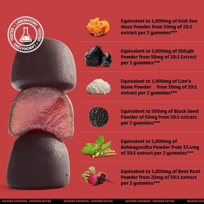 Coach Soak Shilajit Gummies 6-in-1: Tasty Raspberry Watermelon Flavor with Ashwagandha, Lion’s Mane, Irish Sea Moss, Beet Root & Black Seed Oil - Lab Tested Pure Shilajit for Men and Women | 120 ct