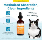 Paramount Pet Health Liquid Glucosamine Chondroitin MSM for Cats, Hip & Joint Support Supplement, Supports Mobility and Flexibility, Senior Cat Liquid Joint Supplement Drops for Daily Care, 2 oz