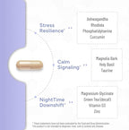 Cortisol Control Plus – Cortisol Supplement for Women & Men, Cortisol Manager for Stress Response Support, Calm Energy, Mood & Restful Sleep – High-Potency Adaptogen + Vitamin Blend – 90 Capsules