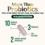 Probiotics 50 Billion CFU per Serving - 10 Strains & Prebiotics - Supports Women's pH Balance, Digestive, UT & Feminine Health - SVag Women Health Supplements - Shelf Stable Bottled USA - 60 Capsules