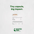 Rooted Owl Metabolism Support - L-Carnitine Supplement for Dogs and Cats to Support Healthy Weight - Dog and Cat Supplement - 60/ct