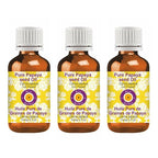 dève herbes Pure Papaya Seed Oil (Carica Papaya) Cold Pressed (Pack of Three) 100ml X 3 (10 oz)
