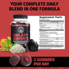 Coach Soak Shilajit Gummies 6-in-1: Tasty Raspberry Watermelon Flavor with Ashwagandha, Lion’s Mane, Irish Sea Moss, Beet Root & Black Seed Oil - Lab Tested Pure Shilajit for Men and Women | 60 ct