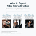 Transparent Labs Creatine HMB - Creatine Monohydrate Powder with HMB for Muscle Growth, Increased Strength, Enhanced Energy Output, and Improved Athletic Performance - 30 Servings, Strawberry Lemonade