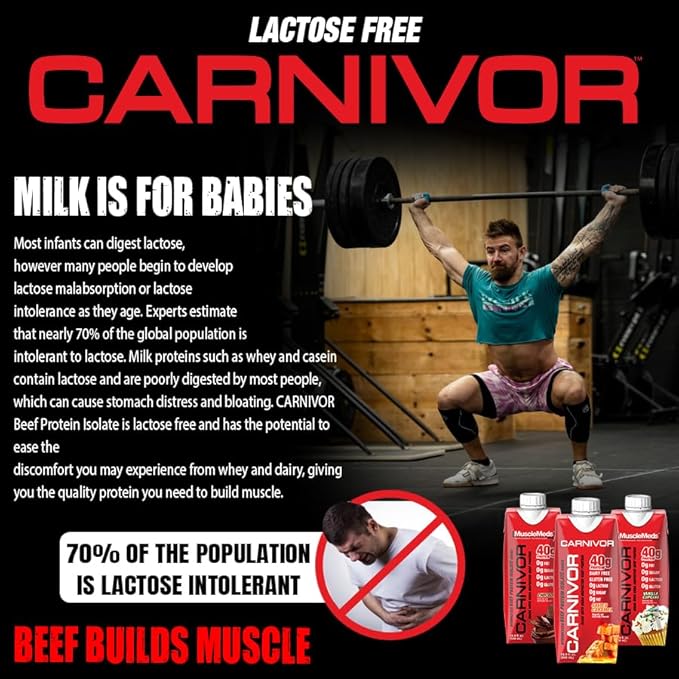MuscleMeds Carnivor RTD, Ready to Drink Protein, Lactose Free, Sugar Free, 40g Isolate Protein, Muscle Building, Recovery, Halal Certified, Salted Caramel, 16.9 Fl Oz (Pack of 12)
