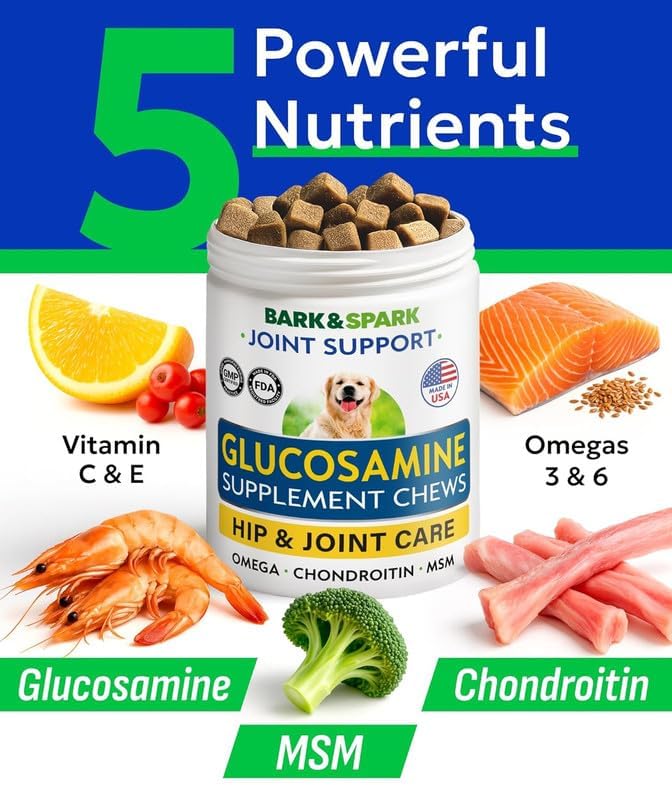 Glucosamine Chondroitin Dog Hip & Joint Supplement - Joint Pain Relief - Hip & Joint Chews for Dogs - Joint Support Large Breed - Senior Doggie Vitamin Pills Joint Health (240 Treats - Peanut Butter)