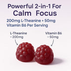 L-Theanine Gummies 200mg – L Theanine Supplement Chewable Gummy – Ltheanine/L’theanine 200mg – Focus and Calm Vitamins Supplement for Kids and Adults