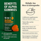 Alpha Gummies 10 in 1 for Men | 4000mg Himalayan Alpha Shilajit Gummies for Energy & Immune | 75% Fulvic Acid, 85+ Trace Minerals, Ashwagandha, Gokshura | No Added Sugar, Non-GMO, 60 Count (1)