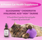 NODENS Cat Hip and Joint Liquid Glucosamine for Cats with Chondroitin – All Natural Cat Joint Supplement for Senior Cats Pain Relief Anti-inflammatory for Improved Joint Flexibility & Mobility 2oz