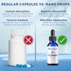 Nanoceutical Solutions Nano Liquid Resveratrol Trans Resveratrol Supplement for Brain & Heart Health | Ultra-Efficient Absorption, Up to 8 Times Higher Than Resveratrol Capsules | 30 Servings
