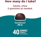 Nature Made Wellblends Stress Relief Gummies, L theanine 200mg to Help Reduce Stress, with GABA 100mg, Same Day Stress Support, 40 Strawberry Flavor Gummies