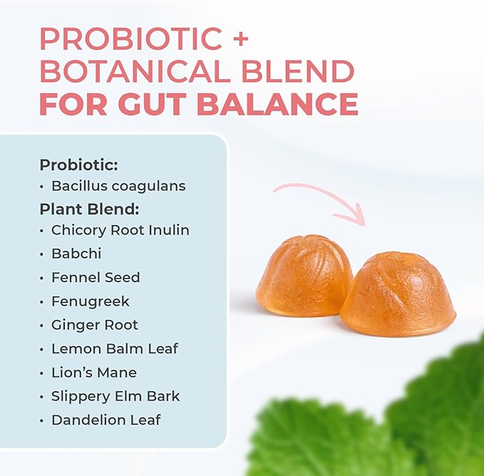 PrimeBiome Probiotic Gummies – Plant-Based Blend with Inulin, Lion’s Mane, Ginger & More– Non-GMO, No Stimulants, GMP Certified – 30 Gummies, 1 Month Supply