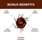 Purity Products JointGel Formula - Collagen Peptides + MSM - Supports Joint Function + Flexibility While Fortifying Joint Cartilage - Dual Action - Daily Powder - 30 Servings (30 Servings, Chocolate)