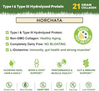 MariGold Grass-fed Collagen Peptides Protein - Horchata 1LB - 100% Pure, Type I & III Hydrolyzed Bovine Collagen, Non-GMO, Hormone Free, Dairy Free, Keto-Friendly, Healthy Joints and Skin