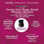 Mushroom Supplement Gummies for Immunity – Reishi, Turkey Tail, Chaga, Zinc, D3 – Vegan Gummy for Healthy Immune Support - Elderberry Blueberry Flavor (60 Count)