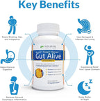 Holistic Health Labs Gut Alive - All Natural Support to Fight IBS, Heartburn, Acid Indigestion, Acid Reflux, Bloating & Gas. Unique Formulation (60 Count (Pack of 3))