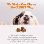 Zesty Paws Probiotics for Dogs, Digestive Enzymes Gut Flora, Digestive Health, Diarrhea & Bowel Support, DE111, Dog Probiotics Soft Chew for Pet Immune System, Chicken, 50 Ct (Pack of 2)
