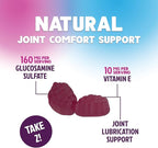 Joint Support Gummies - Glucosamine Plus Vitamin E Nature's Joint Support Supplement for Occasional Discomfort for Back, Knees & Hands - Cartilage & Joint Health & Flexibility Support - 120 Gummies