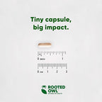Rooted Owl Joint and Muscle Support for Large Dogs (Over 30 Lbs) - Supplement with UC-II Type II Collagen and L-Carnitine - 30 Count