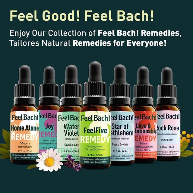Feel Bach! Sweet Dreams #2 Remedy - Natural Homeopathic Flower Essences for Restful Sleep & Emotional Tension - Reduces Fatigue Vegan, Gluten & Sugar-Free, Non-Habit Forming, 20ml (0.7 fl oz)