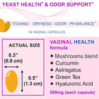 Vaginal Health 5-in-1 Vaginal Odor HP-V Immunity Support pH balance Yeast Itching Dryness Support - 2X Absorption Clinical Strength - Mushrooms Hyaluronic Acid Astragalus Curcumin14 Vaginal Capsules
