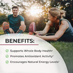Sugar Free Beet Root Gummies - Nitric Oxide Gummies Infused with Coconut Oil for Highest Absorption - Supports Energy & Whole Body Health - Delicious Strawberry Flavor - 60 Count (30 Day Supply)